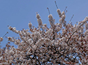 %_tempFileName015-20060409-0152%