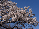 %_tempFileName026-20120407-0029%