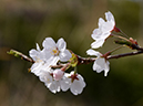%_tempFileName028-20120415-0507%