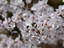 %_tempFileName029-20120415-0508%