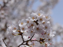 %_tempFileName030-20120415-0510%
