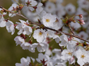 %_tempFileName031-20120415-0522%