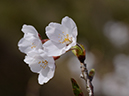 %_tempFileName033-20120415-0526%