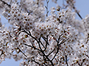 %_tempFileName034-20120415-0532%