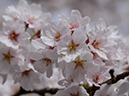 %_tempFileName036-20120415-0535%