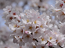 %_tempFileName037-20120415-0536%