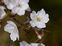 %_tempFileName038-20120415-0543%