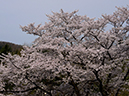 %_tempFileName040-20120421-0102%