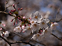 %_tempFileName041-20130330-0011%