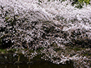 %_tempFileName043-20150404-0718%