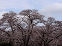 %_tempFileName045-20160403-0001%