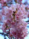 %_tempFileName037-20070212-0009%