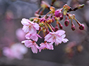 %_tempFileName053-20080301-0130%
