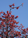 %_tempFileName19-20070326-0602%
