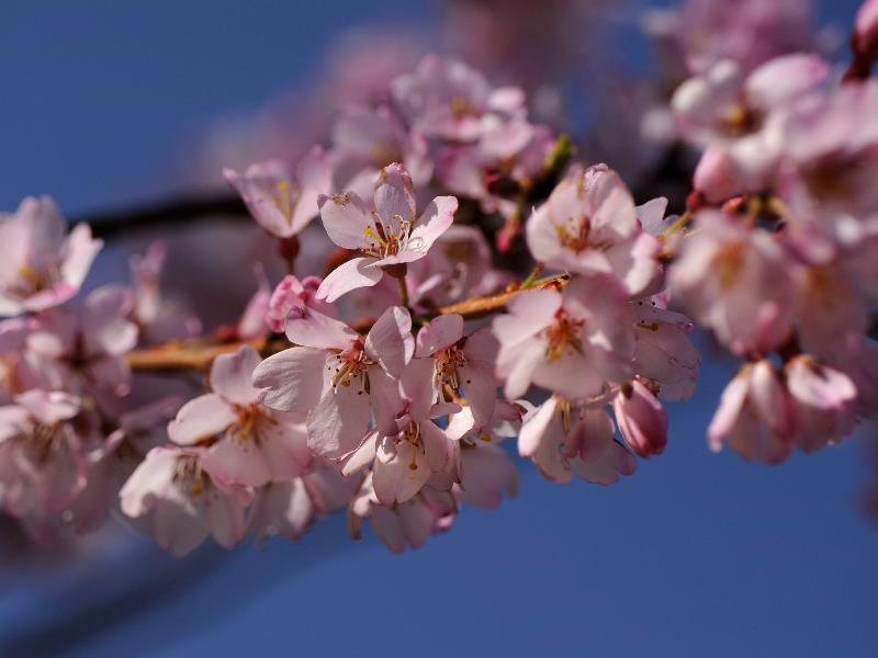%_tempFileName045-20100322-0024%