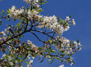 %_tempFileName049-20110418-0162%