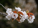 %_tempFileName055-20110424-0431%