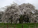 %_tempFileName016-20010414-0138%