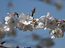 %_tempFileName03-20040410-0246%