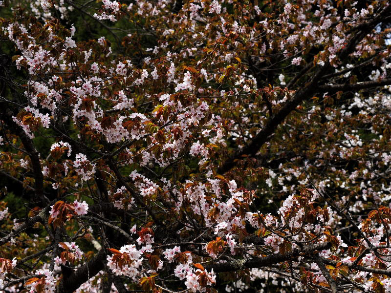 %_tempFileName064-20090424-0302%