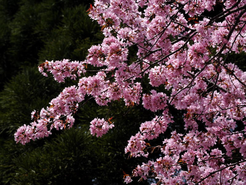 %_tempFileName073-20090424-0336%