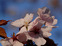 %_tempFileName17-20070423-0553%