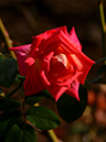 %_tempFileName01-20211027-0003%