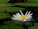 %_tempFileName09-20220122-0083%