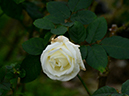 %_tempFileName16-20221130-0169%