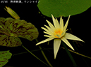 002-16-サンシャイン20240915-0080