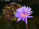 %_tempFileName00-11-20241009-0077%