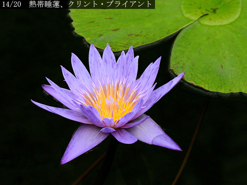 %_tempFileName02-14-20250224-0088%