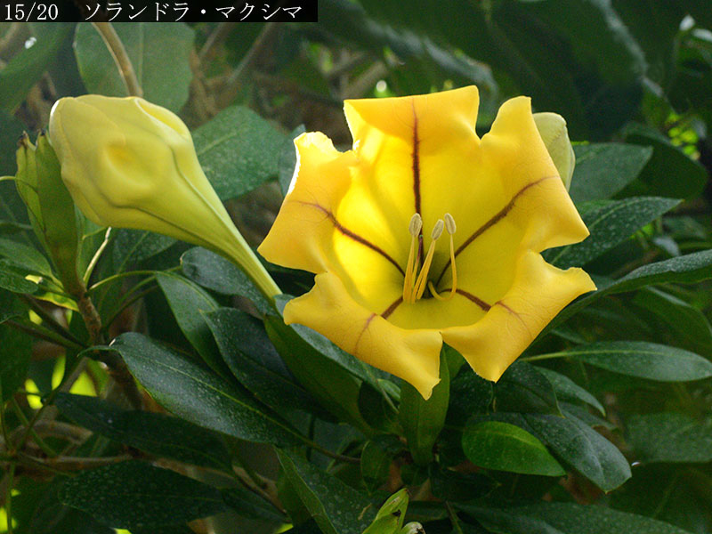 %_tempFileName02-15-20250220-0085%