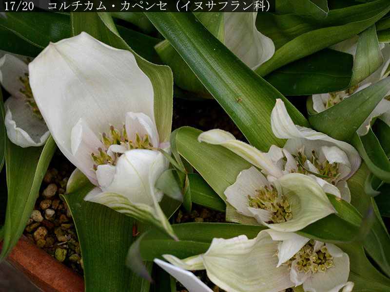 %_tempFileName02-17-20250220-0251%