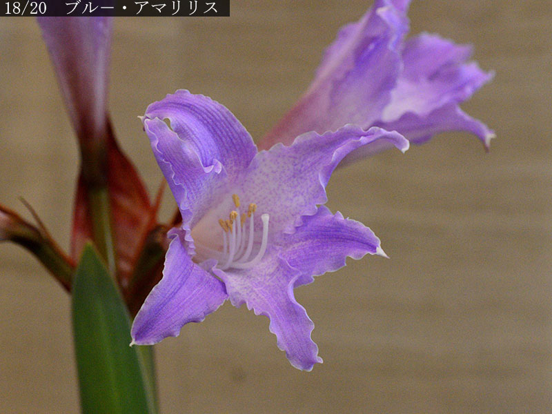 %_tempFileName02-18-20250224-0254%