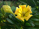 %_tempFileName02-15-20250220-0085%