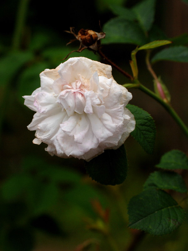 %_tempFileName002-20060610-0102%