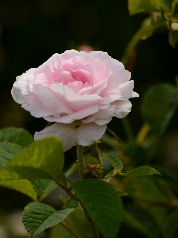 %_tempFileName022-20130525-1152%