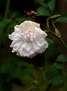 %_tempFileName002-20060610-0102%