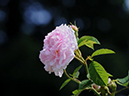 %_tempFileName004-20080524-0263%