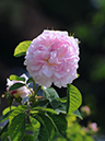 %_tempFileName005-20080524-0264%
