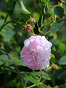 %_tempFileName006-20080524-0267%