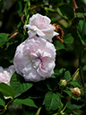 %_tempFileName008-20080601-0597%