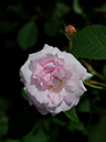 %_tempFileName010-20080601-0599%