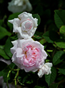 %_tempFileName011-20080601-0600%