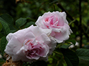 %_tempFileName014-20090606-0948%