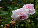 %_tempFileName015-20090606-0949%