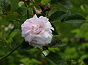 %_tempFileName016-20090606-0950%