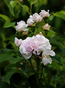%_tempFileName017-20090606-0951%