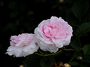 %_tempFileName018-20100606-1752%